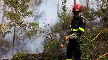 Incendie dans l’Aude : un désastre contenu après 17 000 hectares ravagés