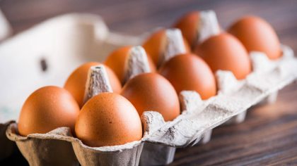 Les œufs sont-ils bons pour la santé ? Les experts révèlent l'apport quotidien recommandé