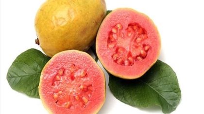 Parce qu'il est bon pour les personnes de plus de 40 ans de manger une goyave au moins une fois par mois